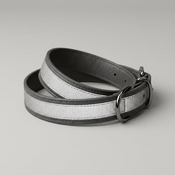 Reflective Pet Collar