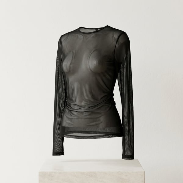Sheer Mesh Long Sleeve Top