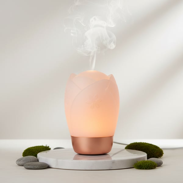 "Sanctuary Bloom Light",