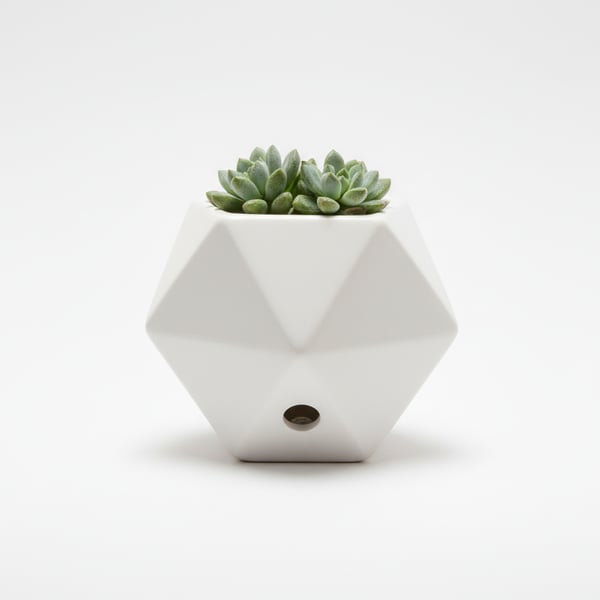 Unique Geometric Planter with Draining Hole for Succulents Ceramic White