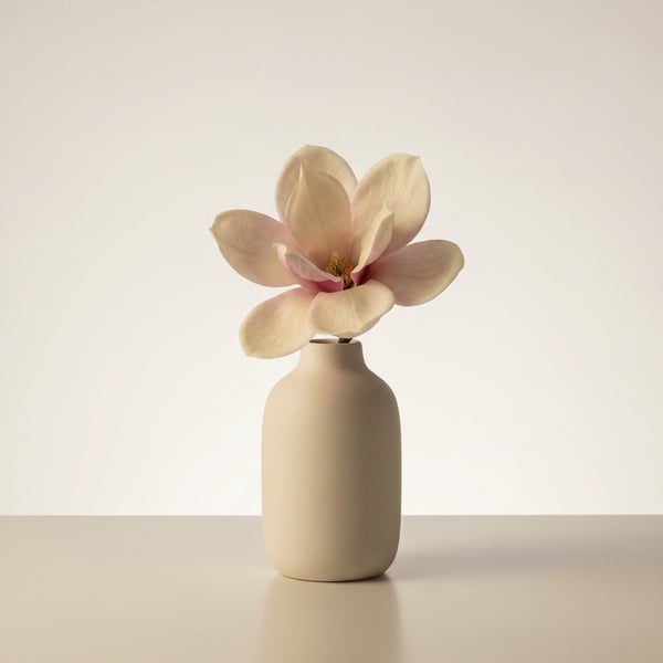 Velvet Magnolia Bloom