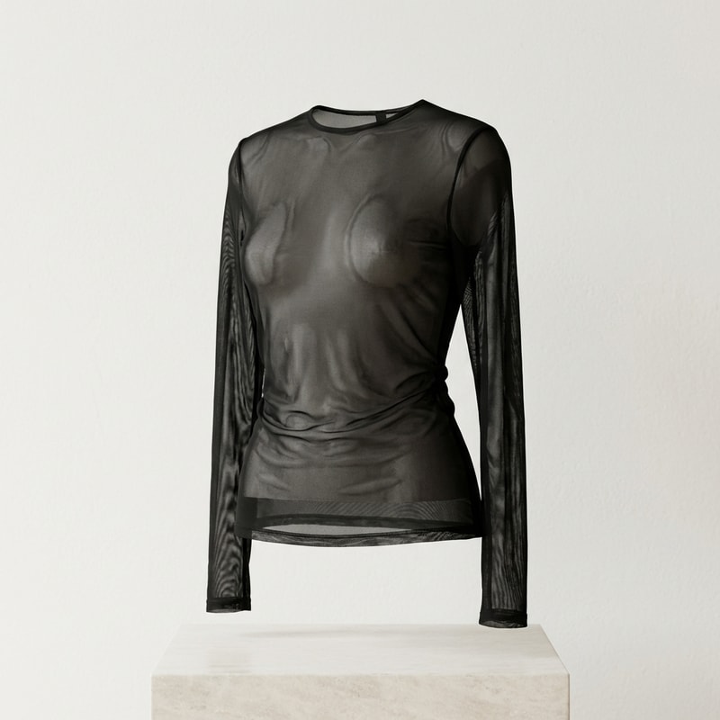 Sheer Mesh Long Sleeve Top