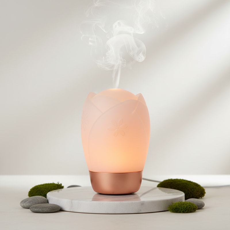 "Sanctuary Bloom Light",