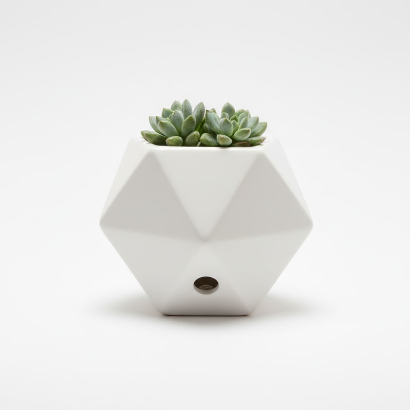 Unique Geometric Planter with Draining Hole for Succulents Ceramic White
