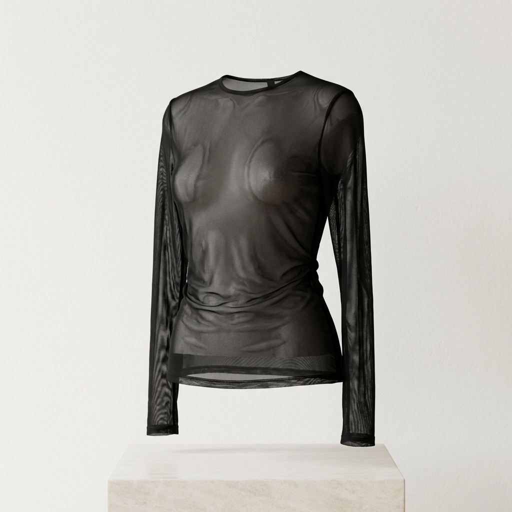 Sheer Mesh Long Sleeve Top